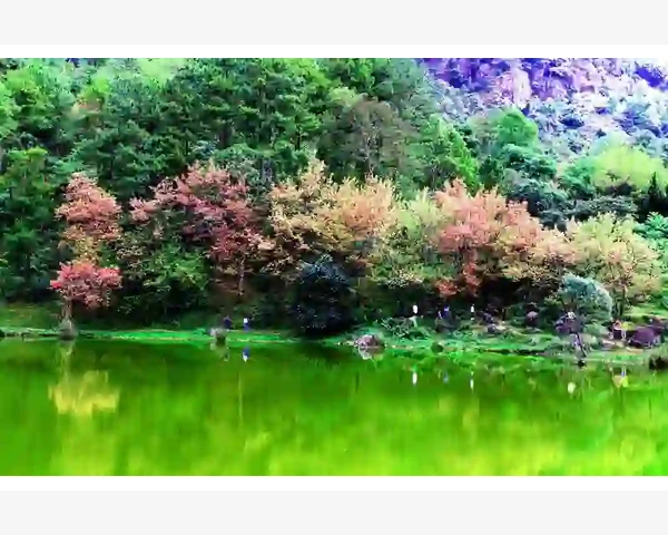 脾胃阳虚吃什么中药？中医科普文章